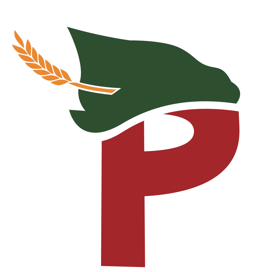 Isotipo P